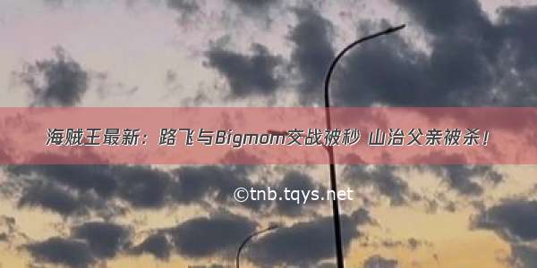 海贼王最新：路飞与Bigmom交战被秒 山治父亲被杀！