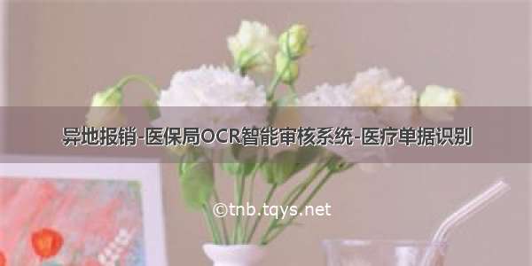 异地报销-医保局OCR智能审核系统-医疗单据识别