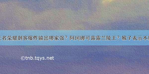 王者荣耀刺客爆炸输出哪家强？阿珂娜可露露兰陵王？猴子表示不服