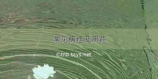 常见病症及用药