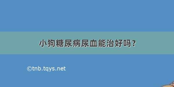 小狗糖尿病尿血能治好吗？