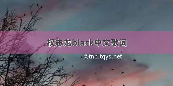 权志龙black中文歌词