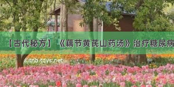 【古代秘方】 《藕节黄芪山药汤》治疗糖尿病