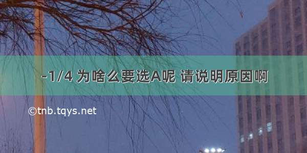 -1/4 为啥么要选A呢 请说明原因啊