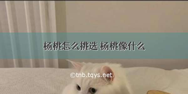 杨桃怎么挑选 杨桃像什么