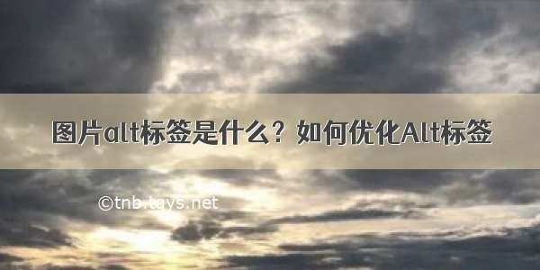 图片alt标签是什么？如何优化Alt标签