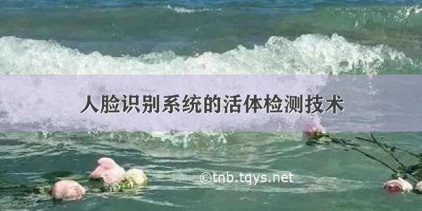 人脸识别系统的活体检测技术