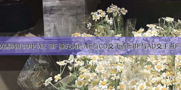 已知：如图 在正方形ABCD中 AE⊥BF 垂足为P AE与CD交于点E BF与AD交于点F 求证：AE=BF．