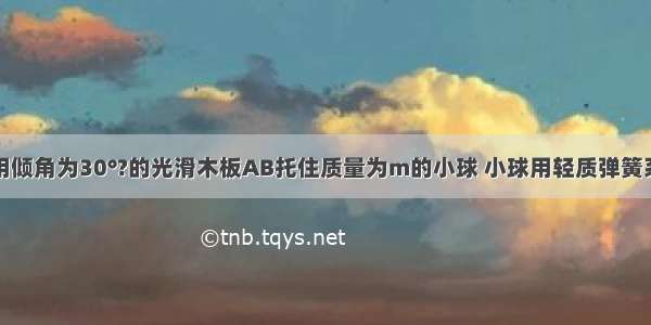 如图所示 用倾角为30°?的光滑木板AB托住质量为m的小球 小球用轻质弹簧系住 当小球