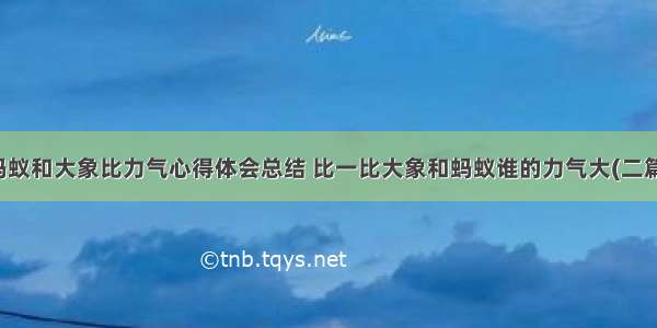 蚂蚁和大象比力气心得体会总结 比一比大象和蚂蚁谁的力气大(二篇)