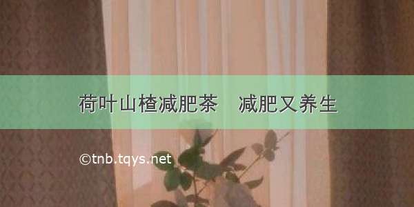 荷叶山楂减肥茶	减肥又养生