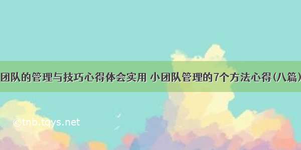 团队的管理与技巧心得体会实用 小团队管理的7个方法心得(八篇)