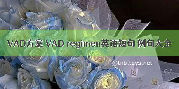 VAD方案 VAD regimen英语短句 例句大全