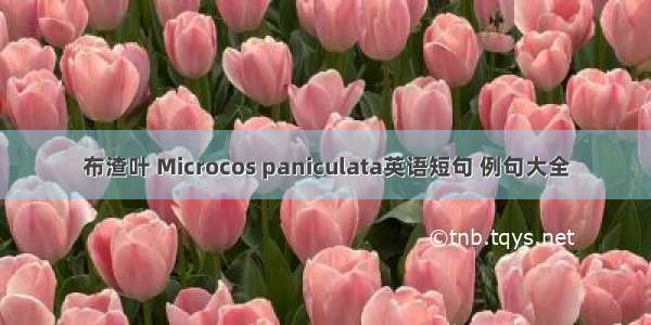 布渣叶 Microcos paniculata英语短句 例句大全