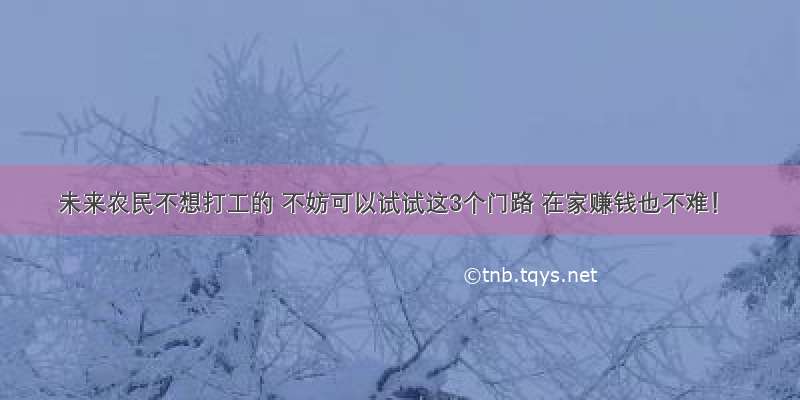 未来农民不想打工的 不妨可以试试这3个门路 在家赚钱也不难！