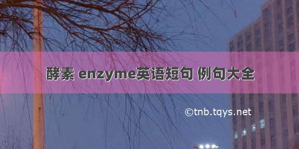 酵素 enzyme英语短句 例句大全