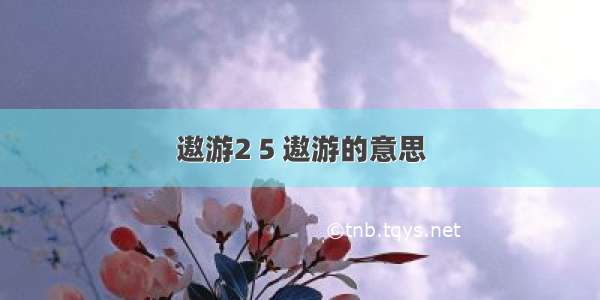 遨游2 5 遨游的意思