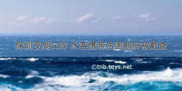 深圳罗湖口岸 水客携带法国鹅肝被截查