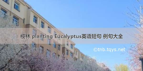 桉林 planting Eucalyptus英语短句 例句大全