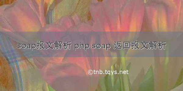 soap报文解析 php soap 返回报文解析