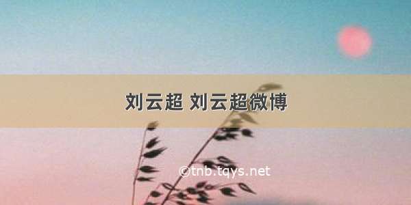 刘云超 刘云超微博