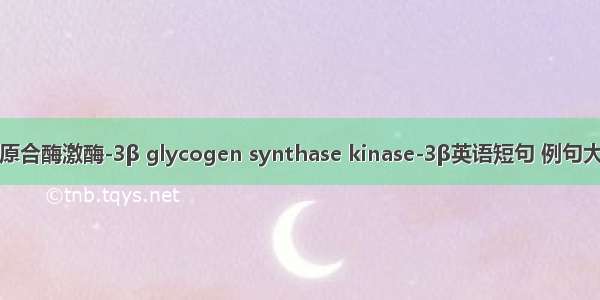 糖原合酶激酶-3β glycogen synthase kinase-3β英语短句 例句大全