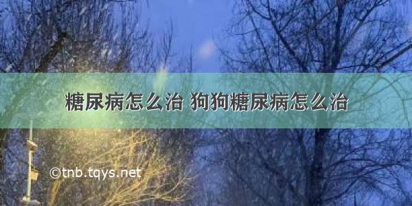 糖尿病怎么治 狗狗糖尿病怎么治