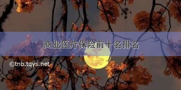 商业医疗保险前十名排名