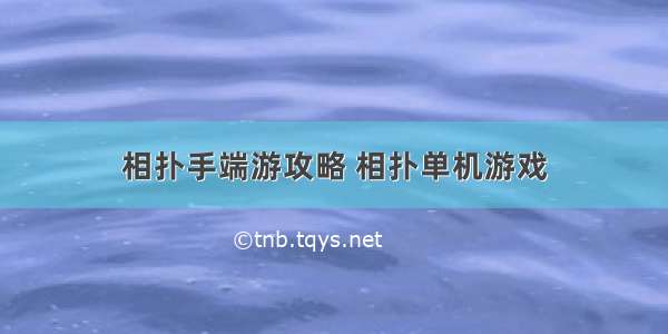 相扑手端游攻略 相扑单机游戏