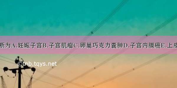 最可能的诊断为A.妊娠子宫B.子宫肌瘤C.卵巢巧克力囊肿D.子宫内膜癌E.上皮性卵巢肿瘤