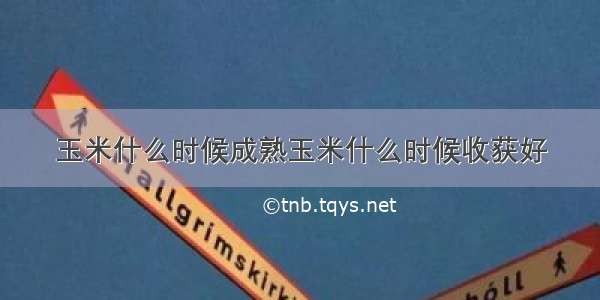 玉米什么时候成熟玉米什么时候收获好