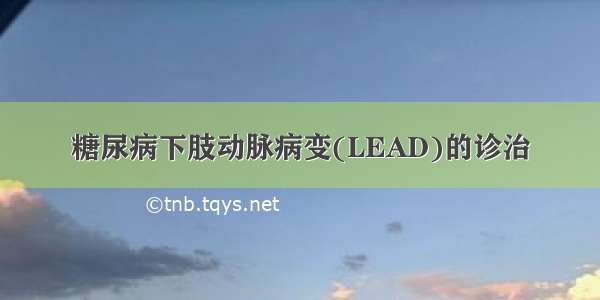 糖尿病下肢动脉病变(LEAD)的诊治