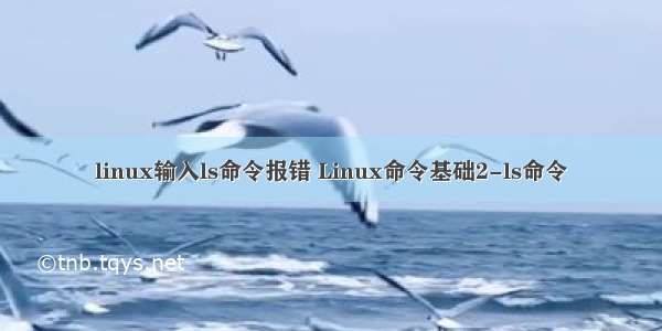 linux输入ls命令报错 Linux命令基础2-ls命令