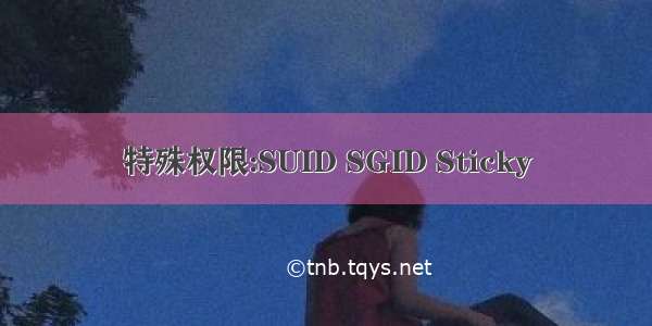 特殊权限:SUID SGID Sticky