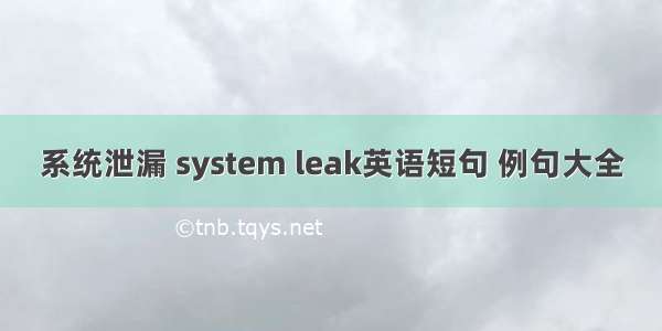 系统泄漏 system leak英语短句 例句大全