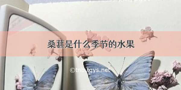 桑葚是什么季节的水果