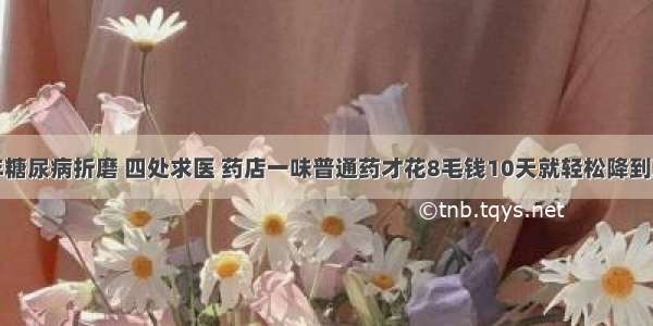 十年糖尿病折磨 四处求医 药店一味普通药才花8毛钱10天就轻松降到正常