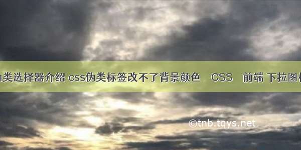 css伪类选择器介绍 css伪类标签改不了背景颜色 – CSS – 前端 下拉图标css