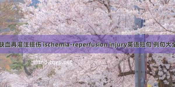 缺血再灌注损伤 ischemia-reperfusion injury英语短句 例句大全