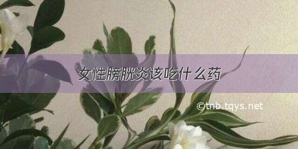 女性膀胱炎该吃什么药