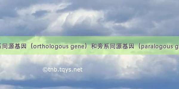 直系同源基因（orthologous gene）和旁系同源基因（paralogous gene）