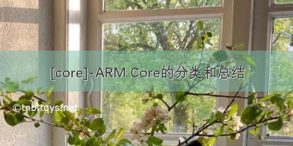 [core]-ARM Core的分类和总结