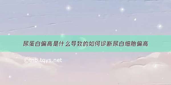 尿蛋白偏高是什么导致的如何诊断尿白细胞偏高