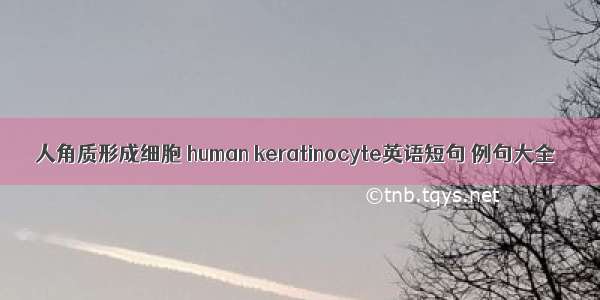人角质形成细胞 human keratinocyte英语短句 例句大全