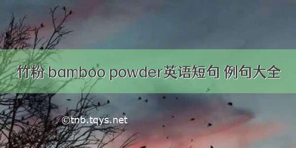 竹粉 bamboo powder英语短句 例句大全