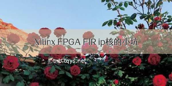 Xilinx FPGA FIR ip核的小坑