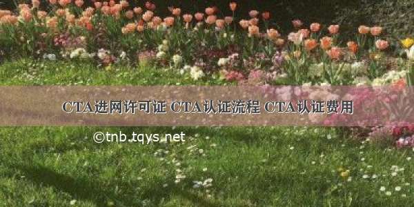 CTA进网许可证 CTA认证流程 CTA认证费用