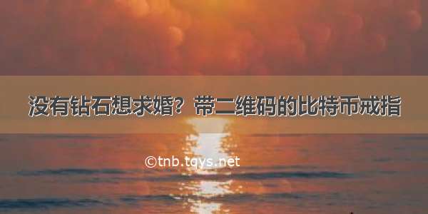 没有钻石想求婚？带二维码的比特币戒指