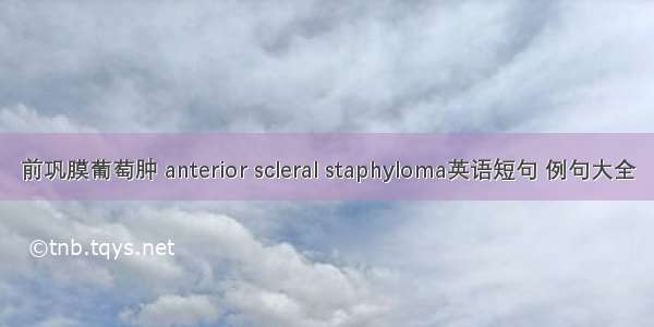 前巩膜葡萄肿 anterior scleral staphyloma英语短句 例句大全