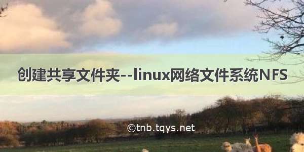 创建共享文件夹--linux网络文件系统NFS